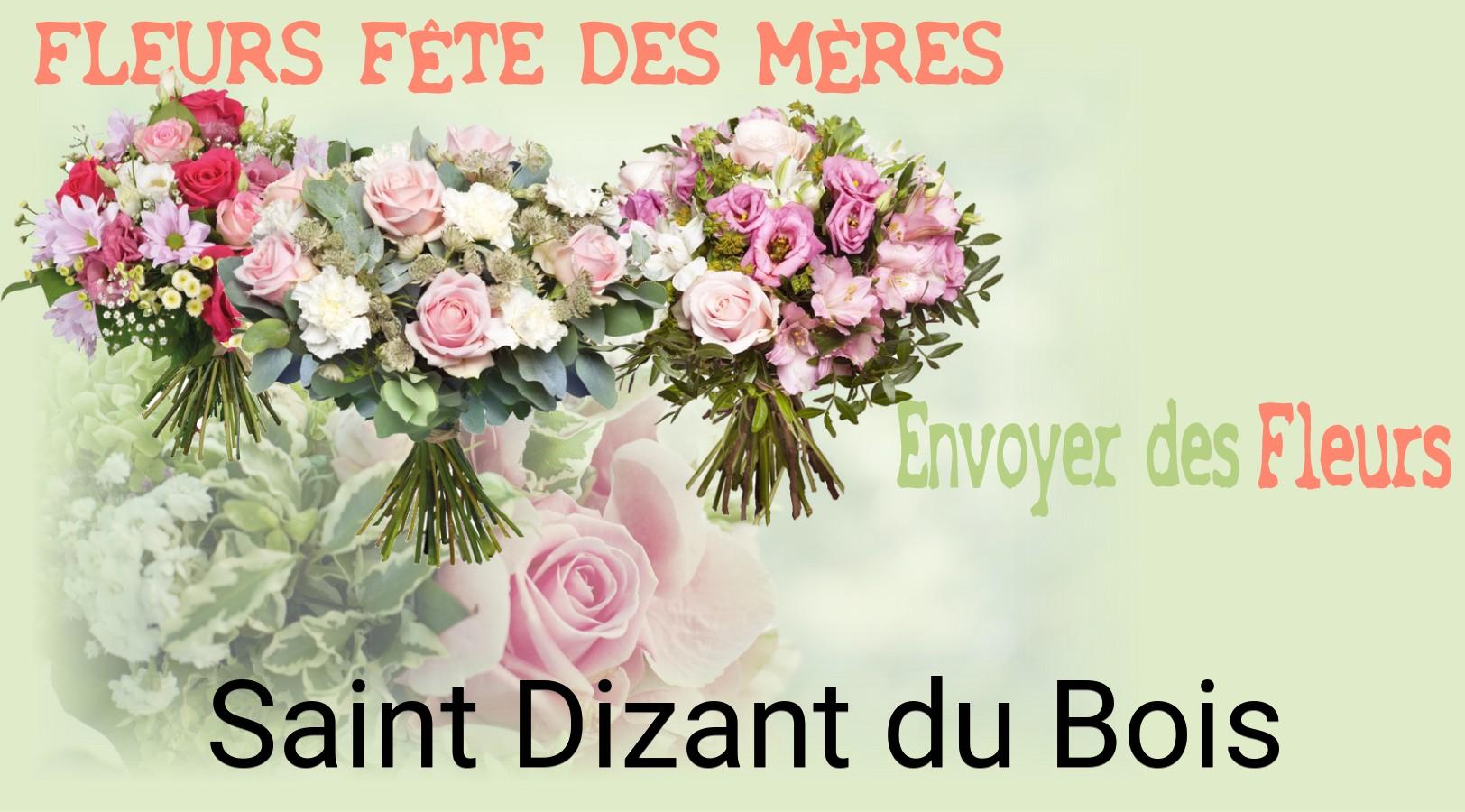 Bouquet de Fête des Mères livré à Saint-Dizant-du-Bois